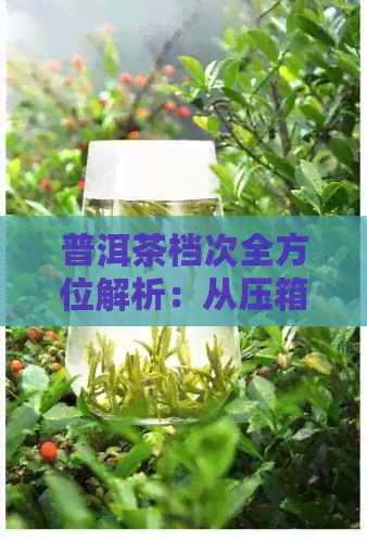 普洱茶档次全方位解析：从压箱底到顶级收藏品一应俱全，助你轻松选对茶叶！