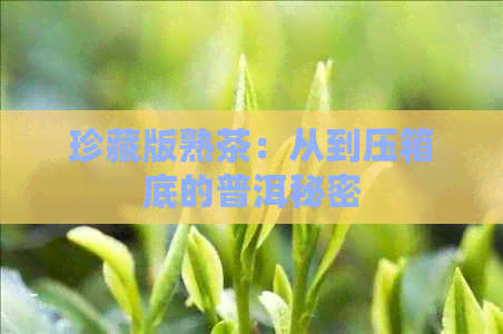 珍藏版熟茶：从到压箱底的普洱秘密