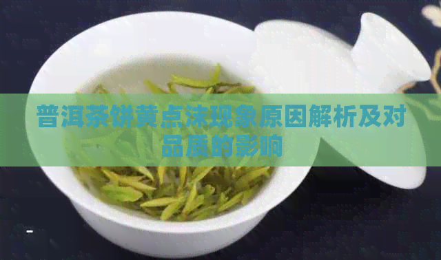 普洱茶饼黄点沫现象原因解析及对品质的影响