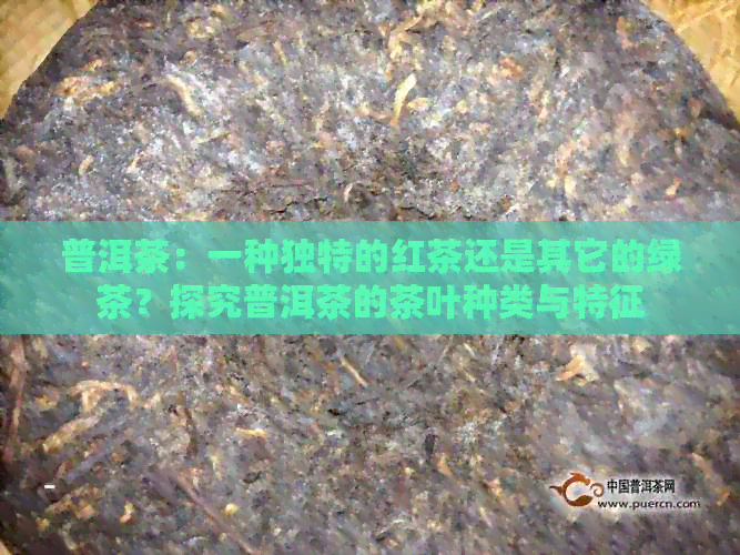 普洱茶：一种独特的红茶还是其它的绿茶？探究普洱茶的茶叶种类与特征