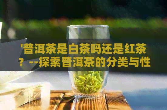 '普洱茶是白茶吗还是红茶？--探索普洱茶的分类与性质'