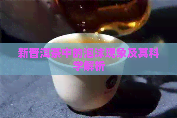 新普洱茶中的泡沫现象及其科学解析