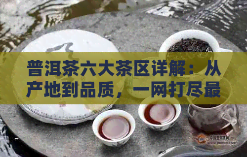 普洱茶六大茶区详解：从产地到品质，一网打尽最全面的了解！