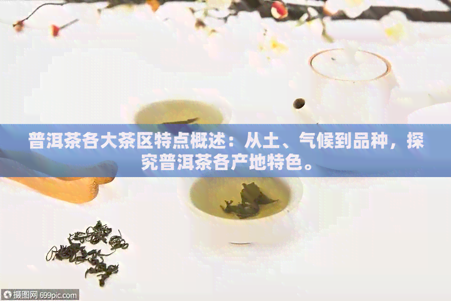 普洱茶各大茶区特点概述：从土、气候到品种，探究普洱茶各产地特色。