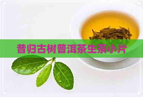 昔归古树普洱茶生茶小片