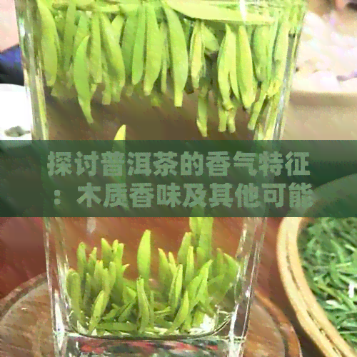 探讨普洱茶的香气特征：木质香味及其他可能存在的味道