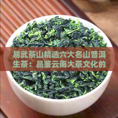 易武茶山精选六大名山普洱生茶：品鉴云南大茶文化的独特魅力