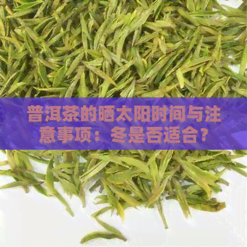 普洱茶的晒太阳时间与注意事项：冬是否适合？