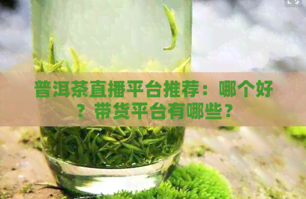 普洱茶直播平台推荐：哪个好？带货平台有哪些？