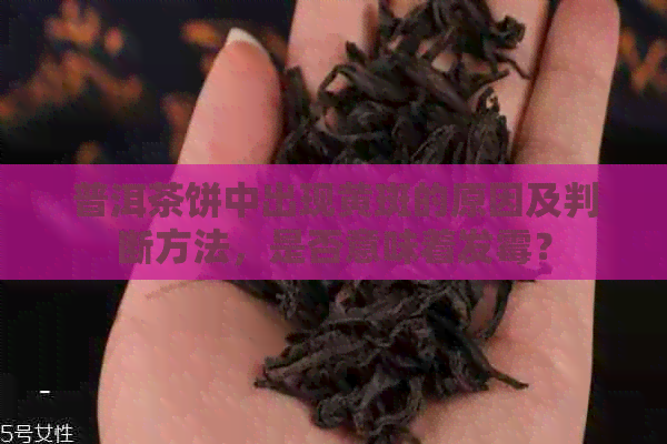 普洱茶饼中出现黄斑的原因及判断方法，是否意味着发霉？