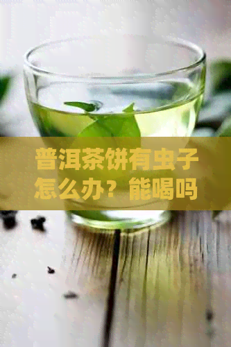 普洱茶饼有虫子怎么办？能喝吗？长虫了怎么处理？生虫的还能喝吗？