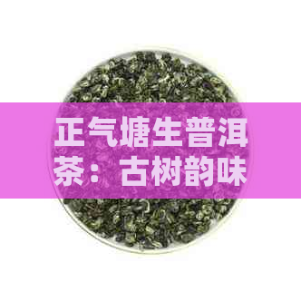 正气塘生普洱茶：古树韵味下的独特口感与特点探究