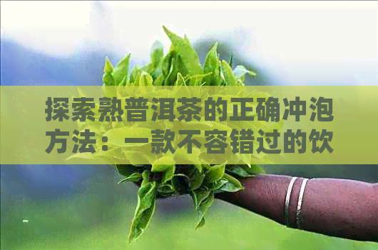 探索熟普洱茶的正确冲泡方法：一款不容错过的饮用体验