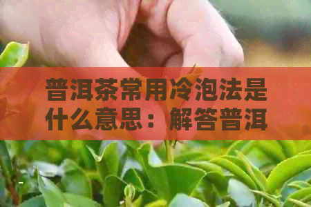 普洱茶常用冷泡法是什么意思：解答普洱茶冷泡技巧及效果。