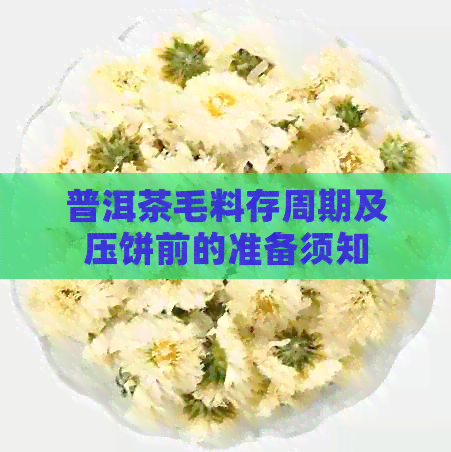 普洱茶毛料存周期及压饼前的准备须知