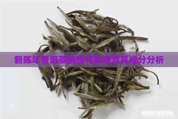 新陈年普洱茶的独特味道及其成分分析