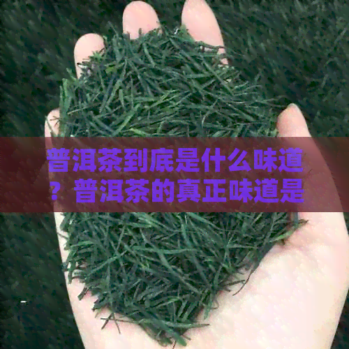 普洱茶到底是什么味道？普洱茶的真正味道是怎么样的？