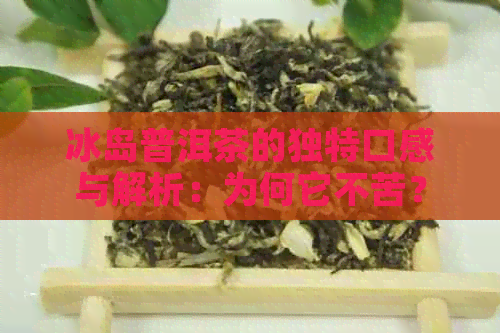 冰岛普洱茶的独特口感与解析：为何它不苦？