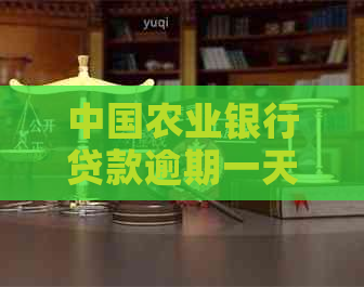 中国农业银行贷款逾期一天的后果及解决方法，如何避免逾期？