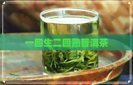 一回生二回熟普洱茶