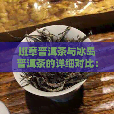 班章普洱茶与冰岛普洱茶的详细对比：产地、口感、功效及泡法等全方位解析