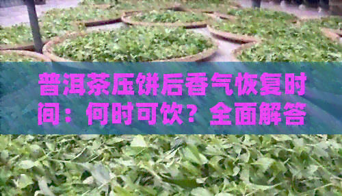 普洱茶压饼后香气恢复时间：何时可饮？全面解答！