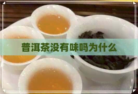 普洱茶没有味吗为什么