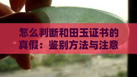 怎么判断和田玉证书的真假：鉴别方法与注意事项