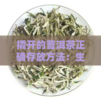 撬开的普洱茶正确存放方法：生茶与茶饼的细致比较