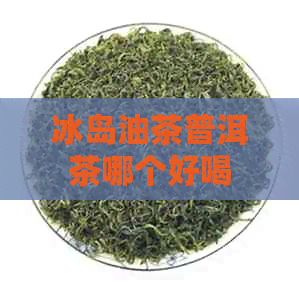 冰岛油茶普洱茶哪个好喝