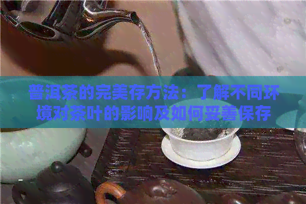 普洱茶的完美存方法：了解不同环境对茶叶的影响及如何妥善保存