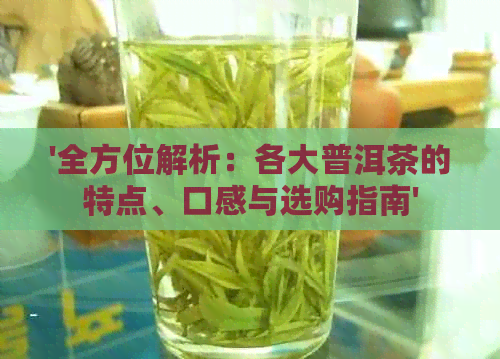 '全方位解析：各大普洱茶的特点、口感与选购指南'