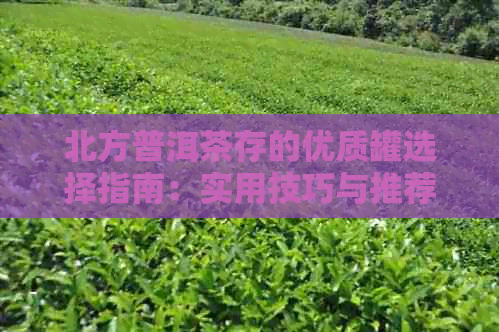 北方普洱茶存的优质罐选择指南：实用技巧与推荐