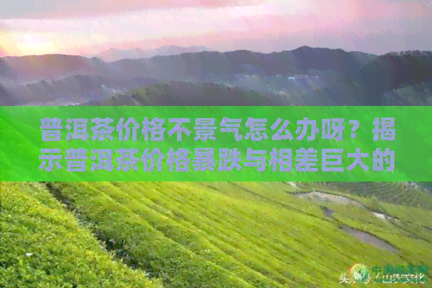 普洱茶价格不景气怎么办呀？揭示普洱茶价格暴跌与相差巨大的原因