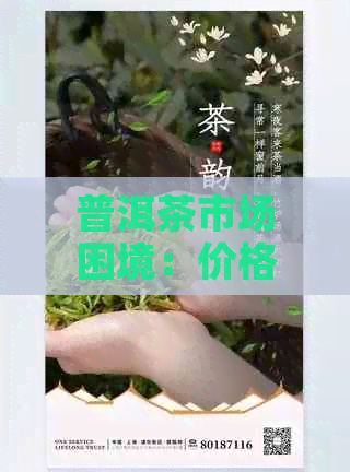 普洱茶市场困境：价格波动背后的因素分析