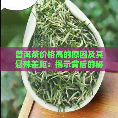 普洱茶价格高的原因及其悬殊差距：揭示背后的秘密