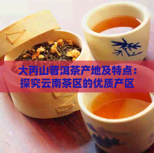 大丙山普洱茶产地及特点：探究云南茶区的优质产区