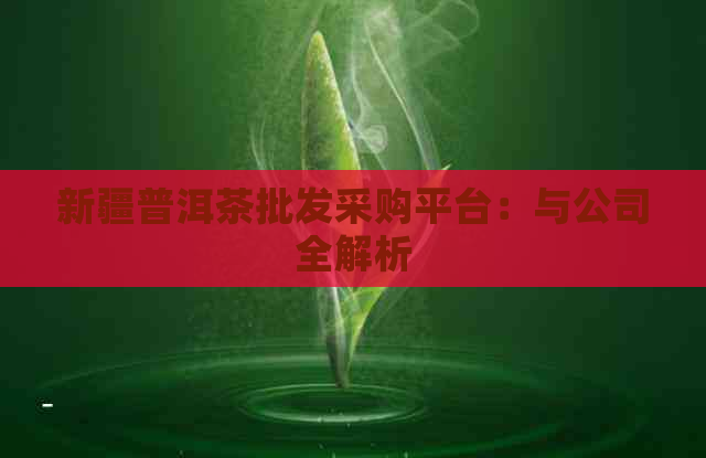 新疆普洱茶批发采购平台：与公司全解析