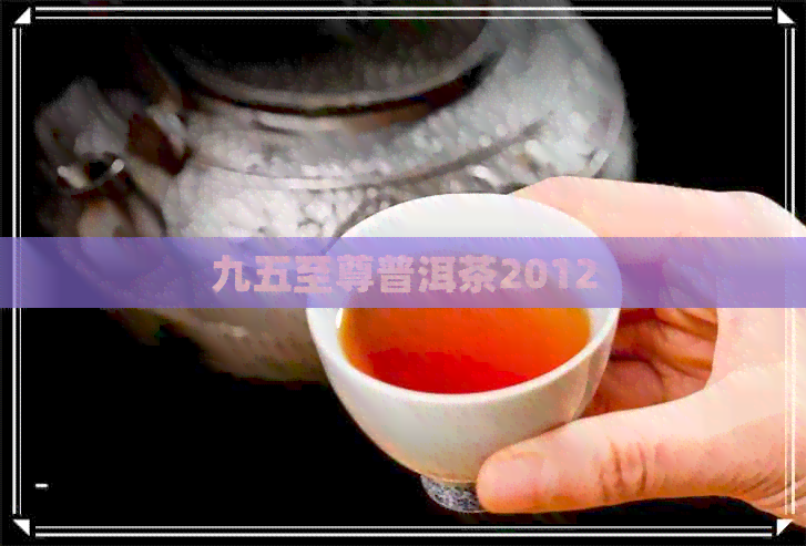 九五至尊普洱茶2012