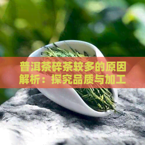 普洱茶碎茶较多的原因解析：探究品质与加工环节影响