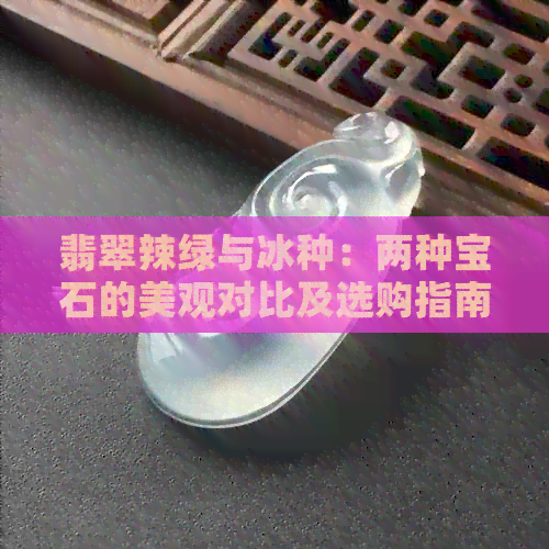 翡翠辣绿与冰种：两种宝石的美观对比及选购指南