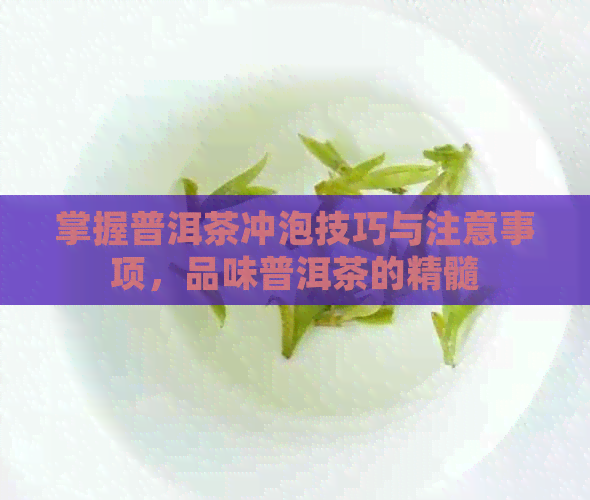 掌握普洱茶冲泡技巧与注意事项，品味普洱茶的精髓