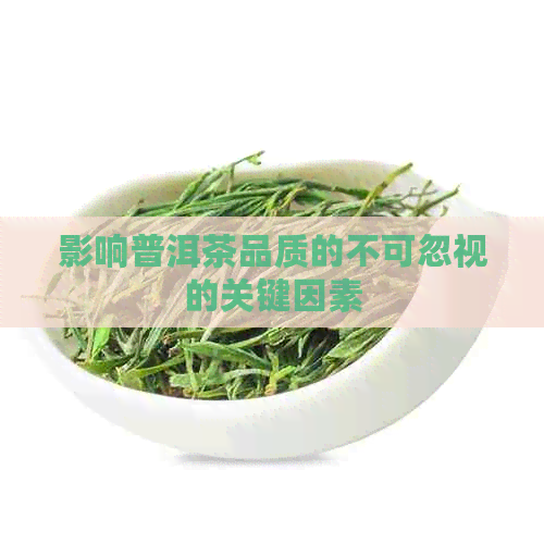 影响普洱茶品质的不可忽视的关键因素