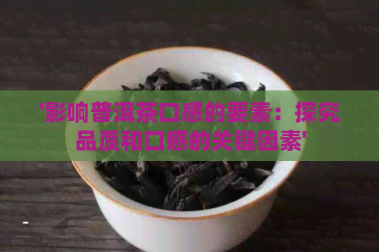 '影响普洱茶口感的要素：探究品质和口感的关键因素'