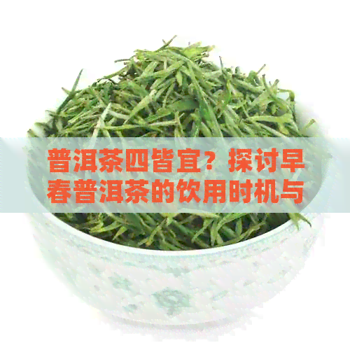 普洱茶四皆宜？探讨早春普洱茶的饮用时机与特点