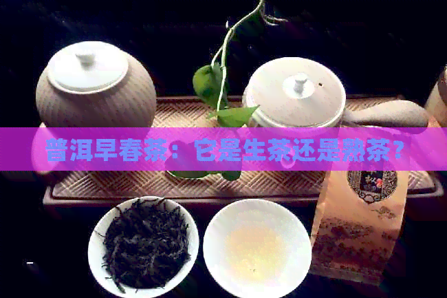 普洱早春茶：它是生茶还是熟茶？