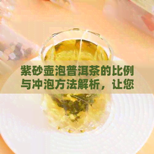 紫砂壶泡普洱茶的比例与冲泡方法解析，让您的茶香四溢