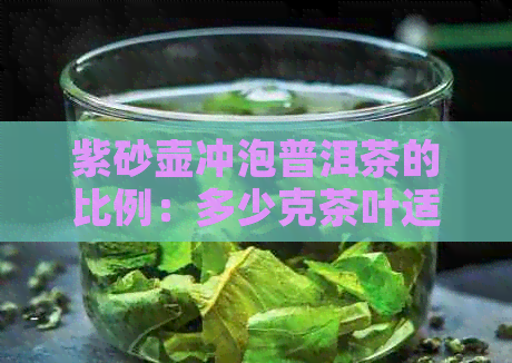 紫砂壶冲泡普洱茶的比例：多少克茶叶适合使用？