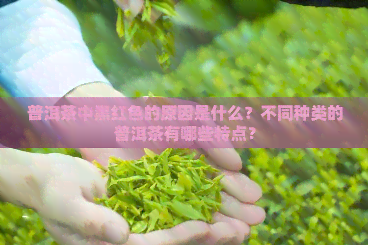 普洱茶中黑红色的原因是什么？不同种类的普洱茶有哪些特点？