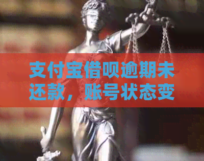 支付宝借呗逾期未还款，账号状态变为红色警示